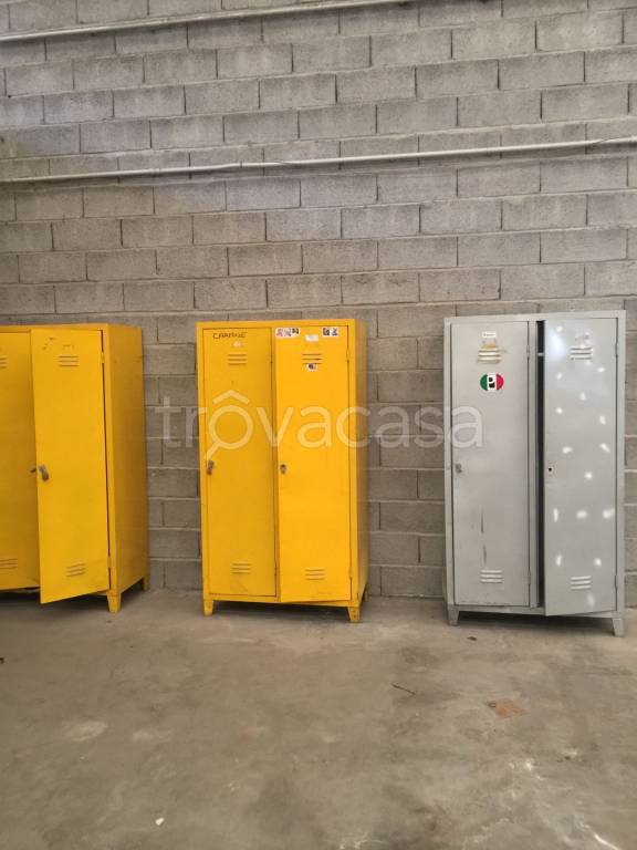 immagine annuncio 5 di 8