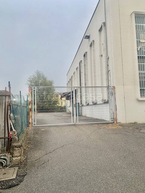 immagine annuncio 2 di 14