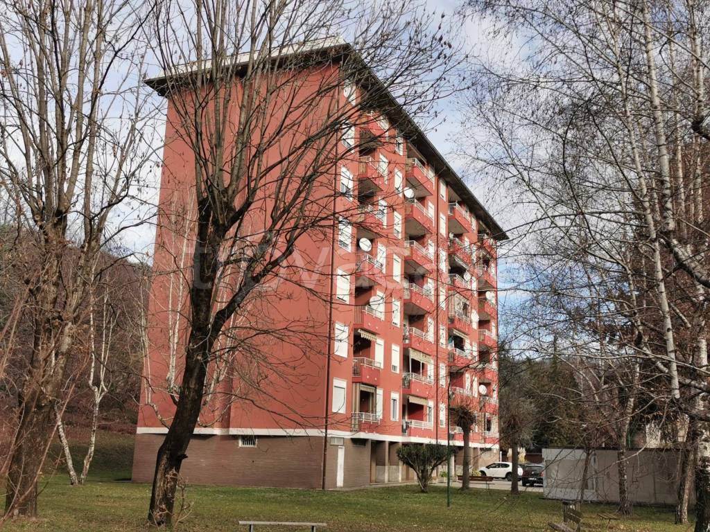 immagine annuncio 9 di 12