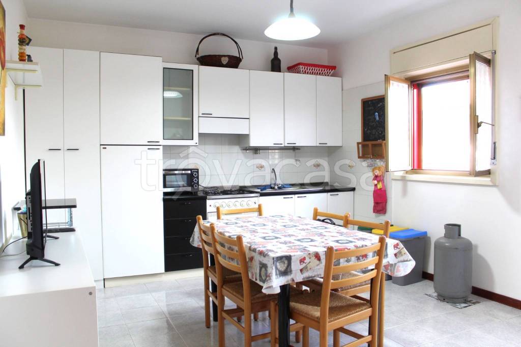 immagine annuncio 9 di 14