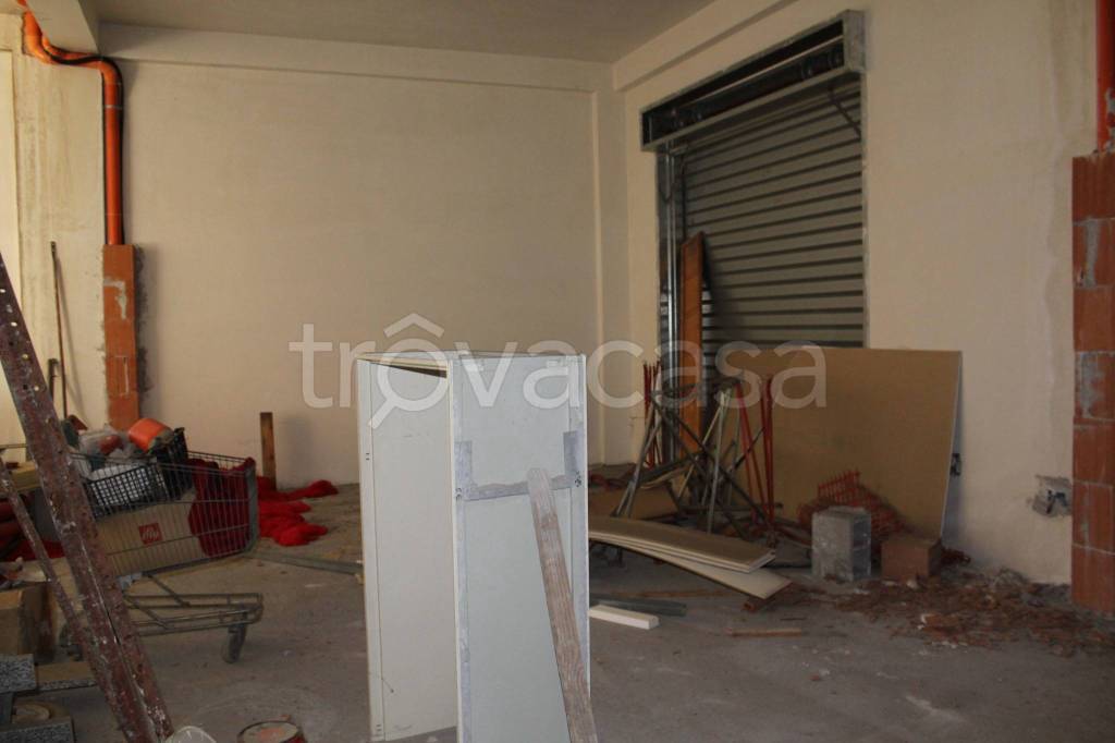 immagine annuncio 5 di 11