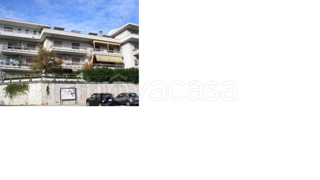 Appartamento in in vendita da privato a Casale Monferrato via Avvocato Vittorio Dardano, 2