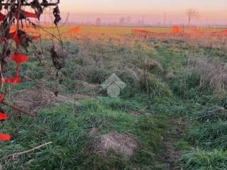 Terreno agricolo in vendita a romano di lombardia strada campagna