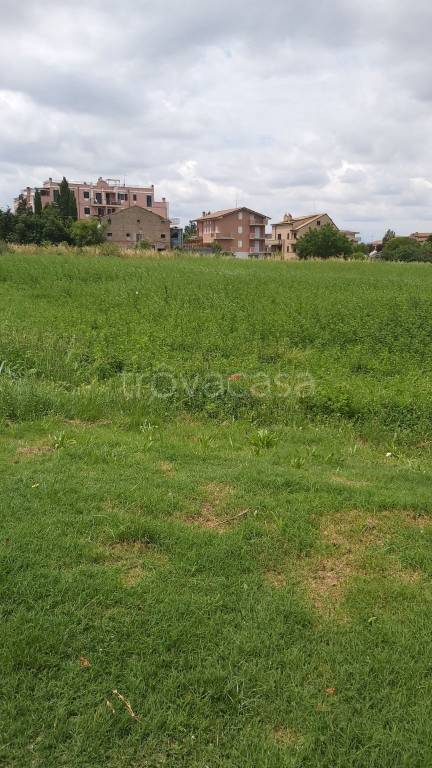 immagine annuncio 3 di 6