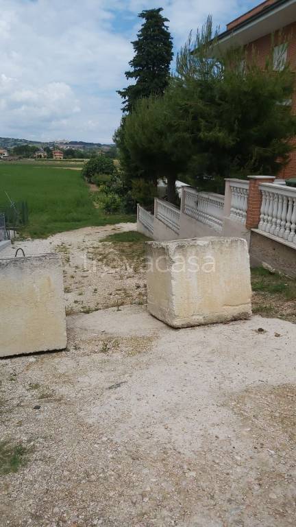 immagine annuncio 4 di 6