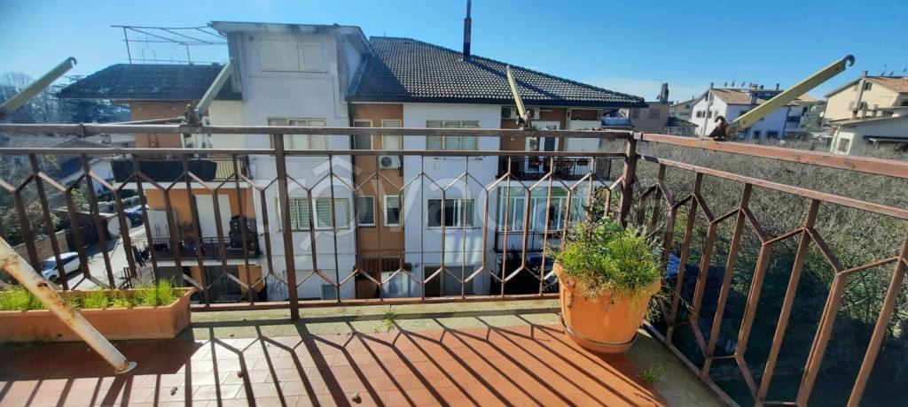 immagine annuncio 3 di 12