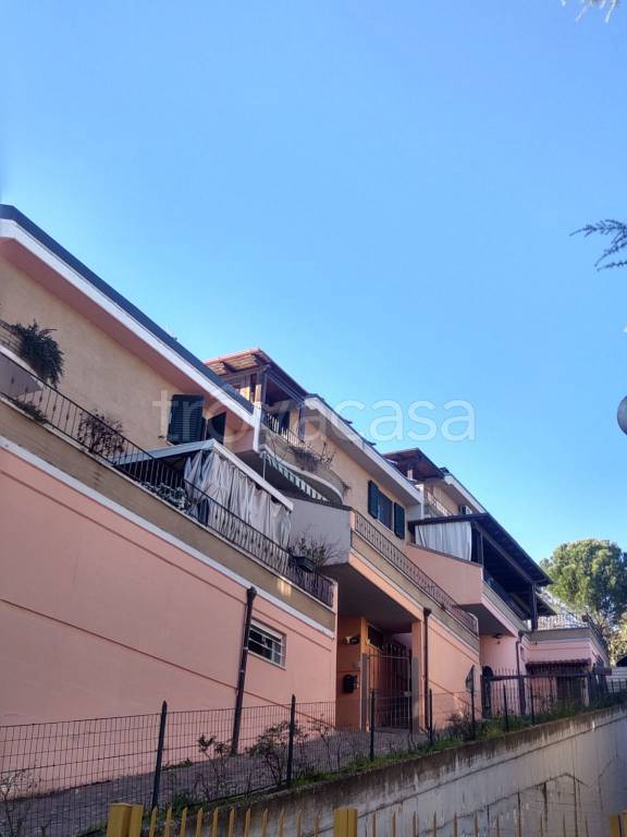 Villa a Schiera in vendita ad Ascoli Piceno via delle Zinnie, 17