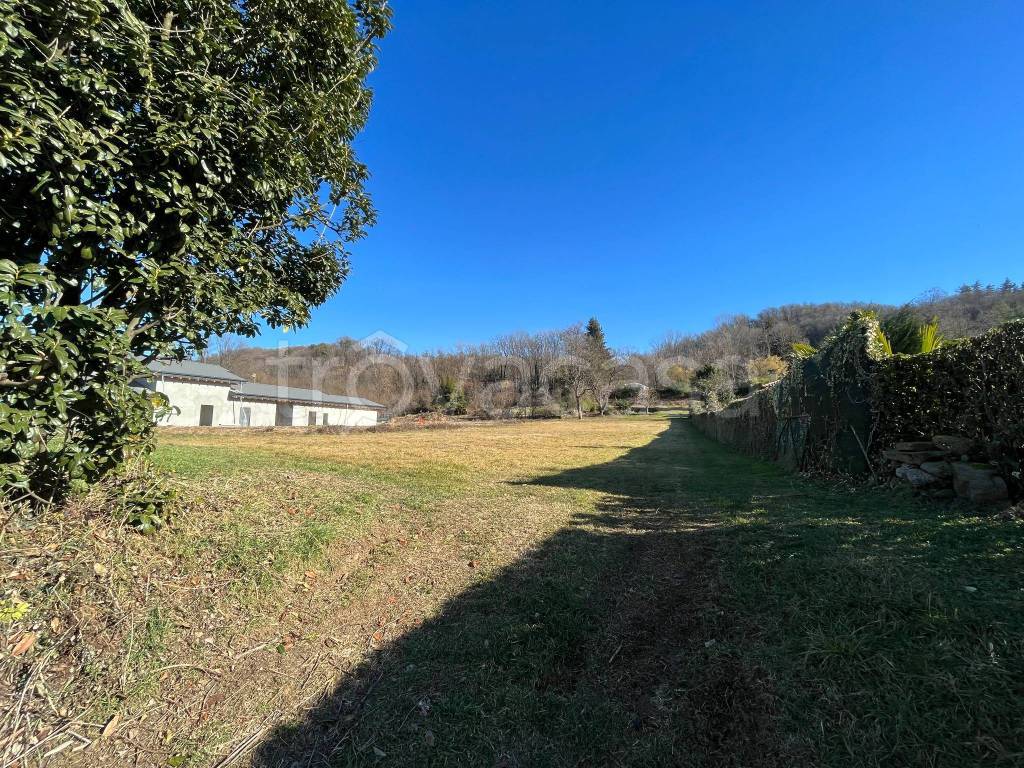 immagine annuncio 1 di 2