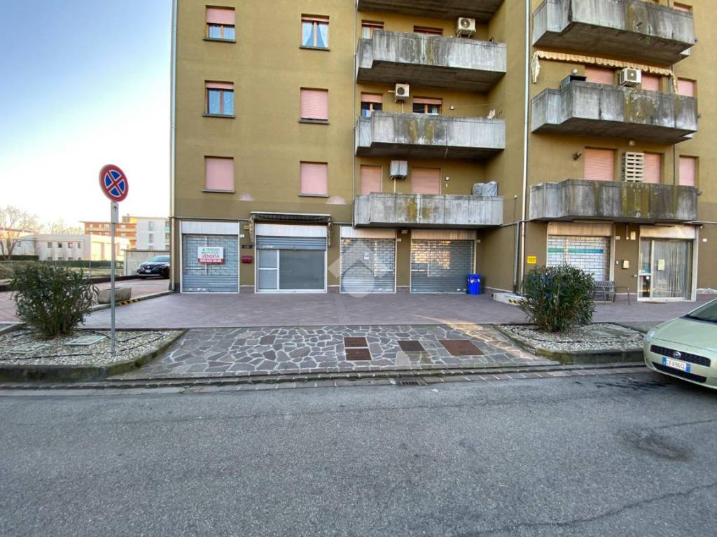 immagine annuncio 2 di 9