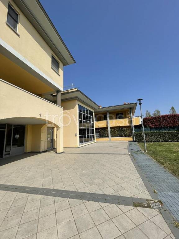 immagine annuncio 1 di 13