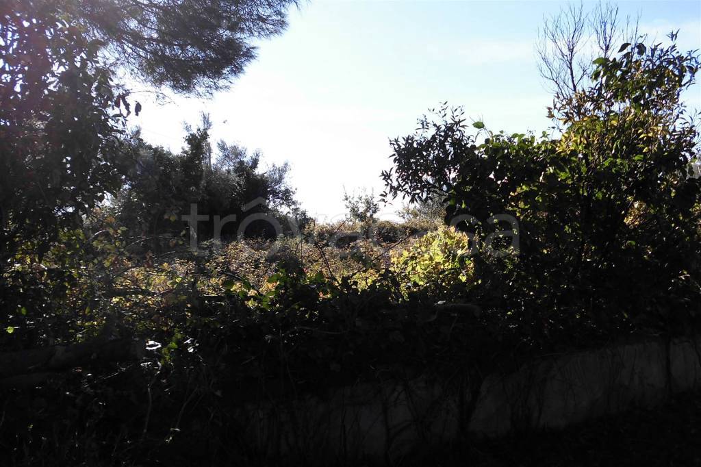 immagine annuncio 4 di 8