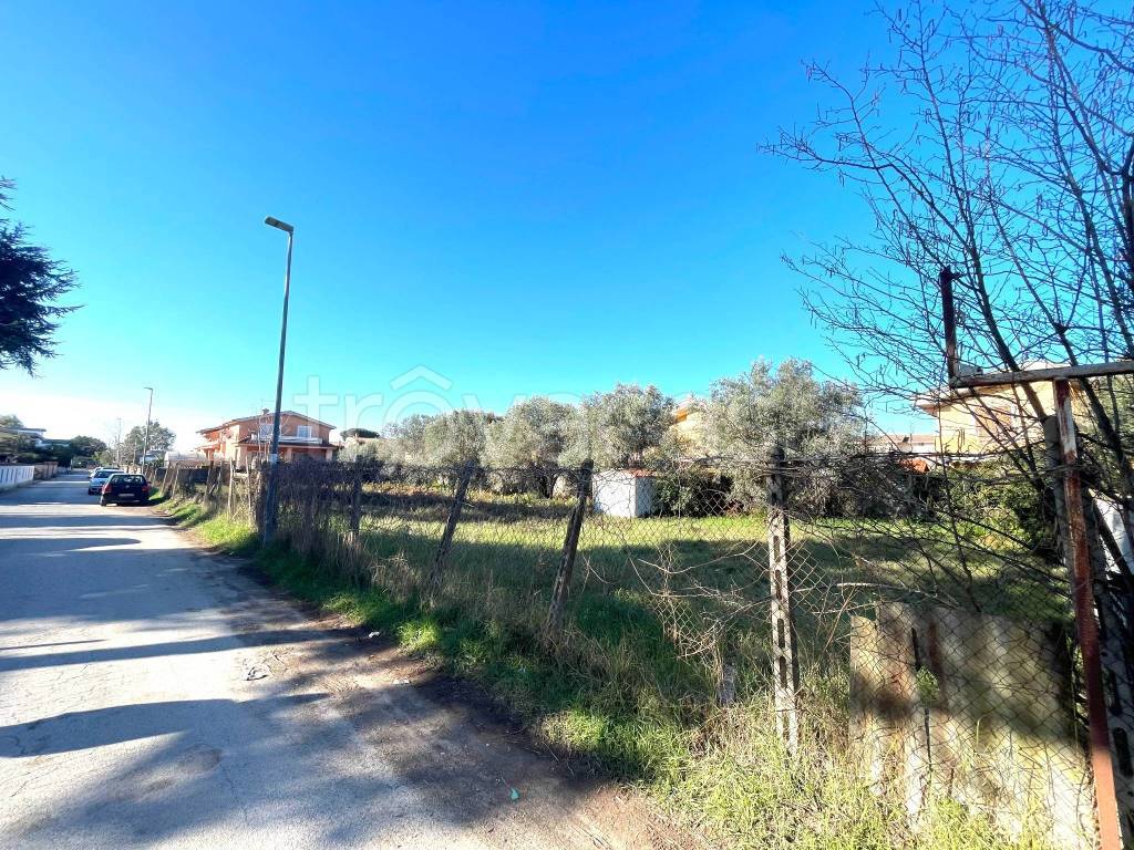 immagine annuncio 2 di 8