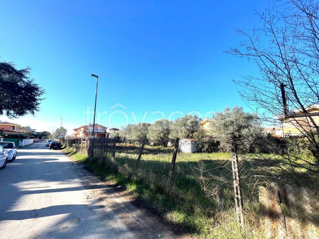 immagine annuncio 3 di 8