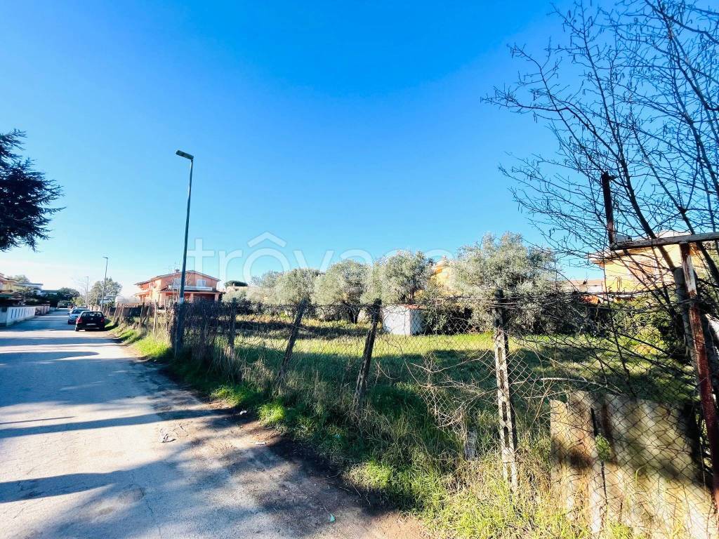 immagine annuncio 5 di 8