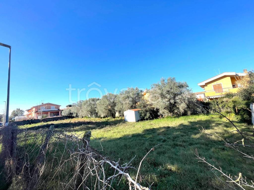 immagine annuncio 6 di 8