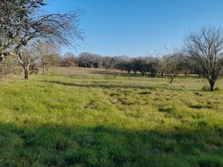 Terreno agricolo in vendita a manziana via ponte mariano, 00