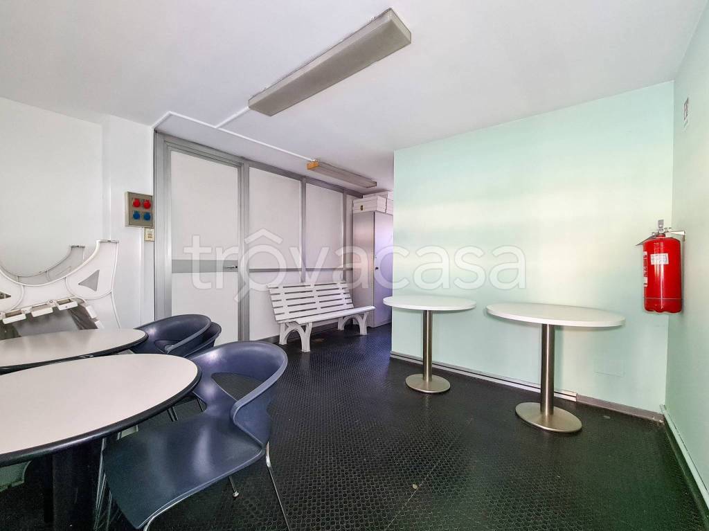 immagine annuncio 9 di 14