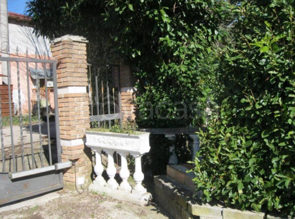 immagine annuncio 3 di 11