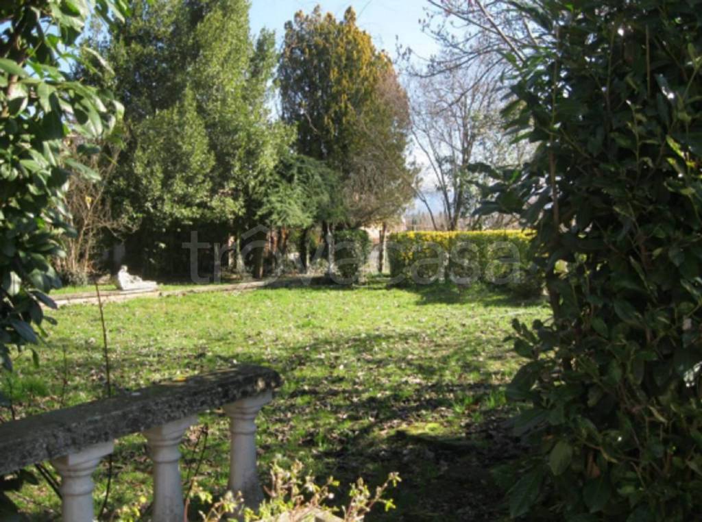 immagine annuncio 6 di 11