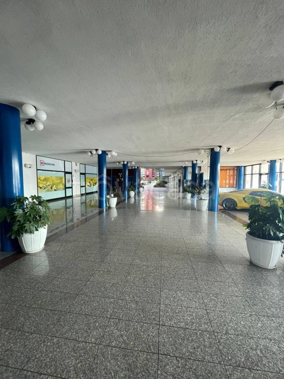 immagine annuncio 12 di 13