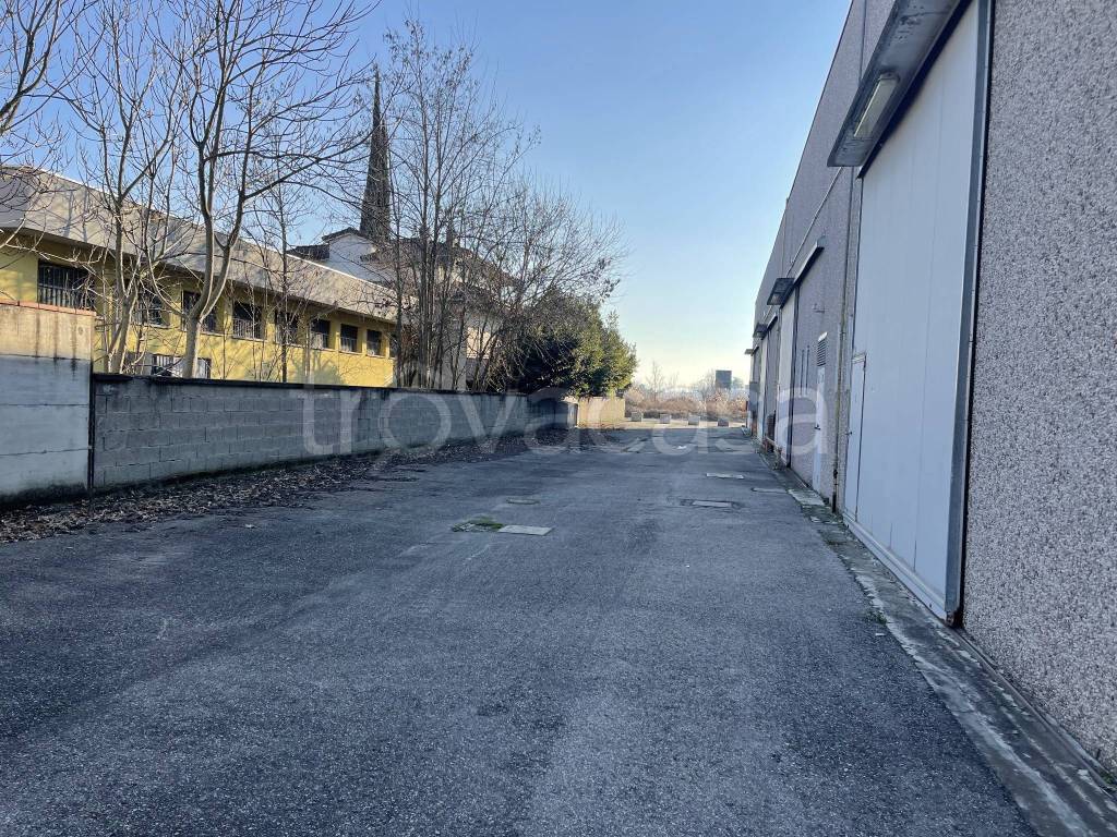 immagine annuncio 11 di 15