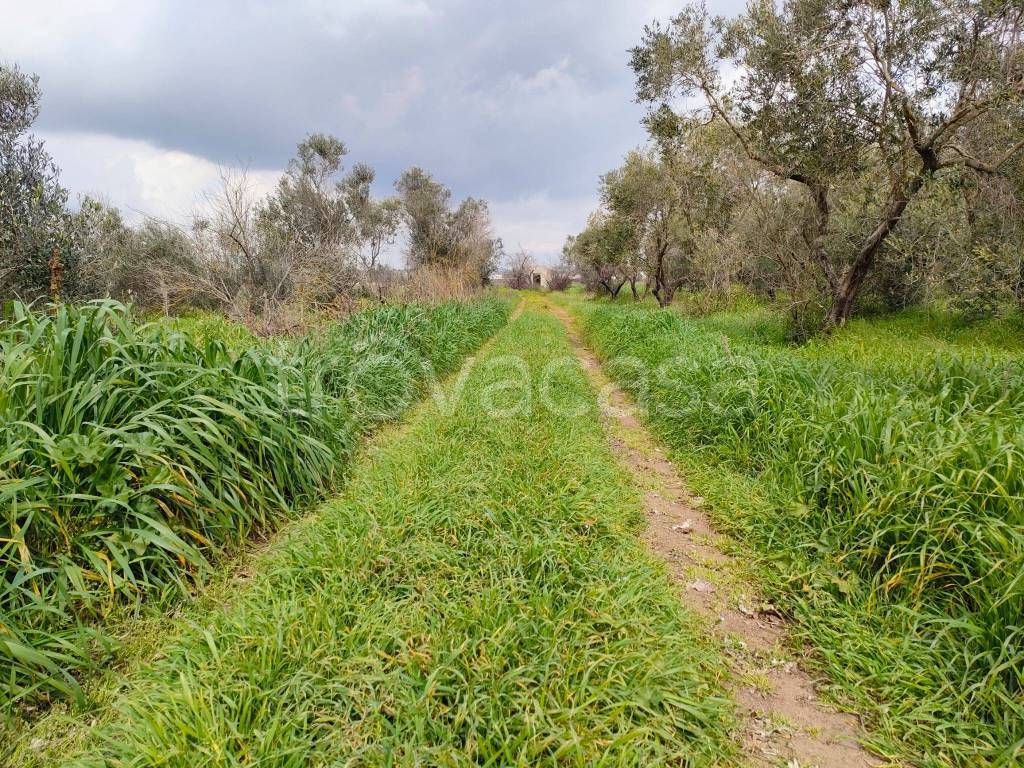 immagine annuncio 7 di 10