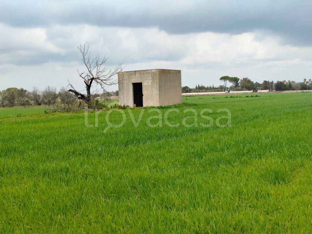 immagine annuncio 3 di 10