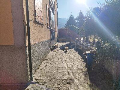 immagine annuncio 2 di 13