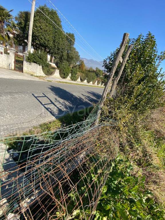 immagine annuncio 5 di 9