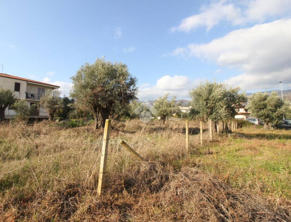 immagine annuncio 3 di 8