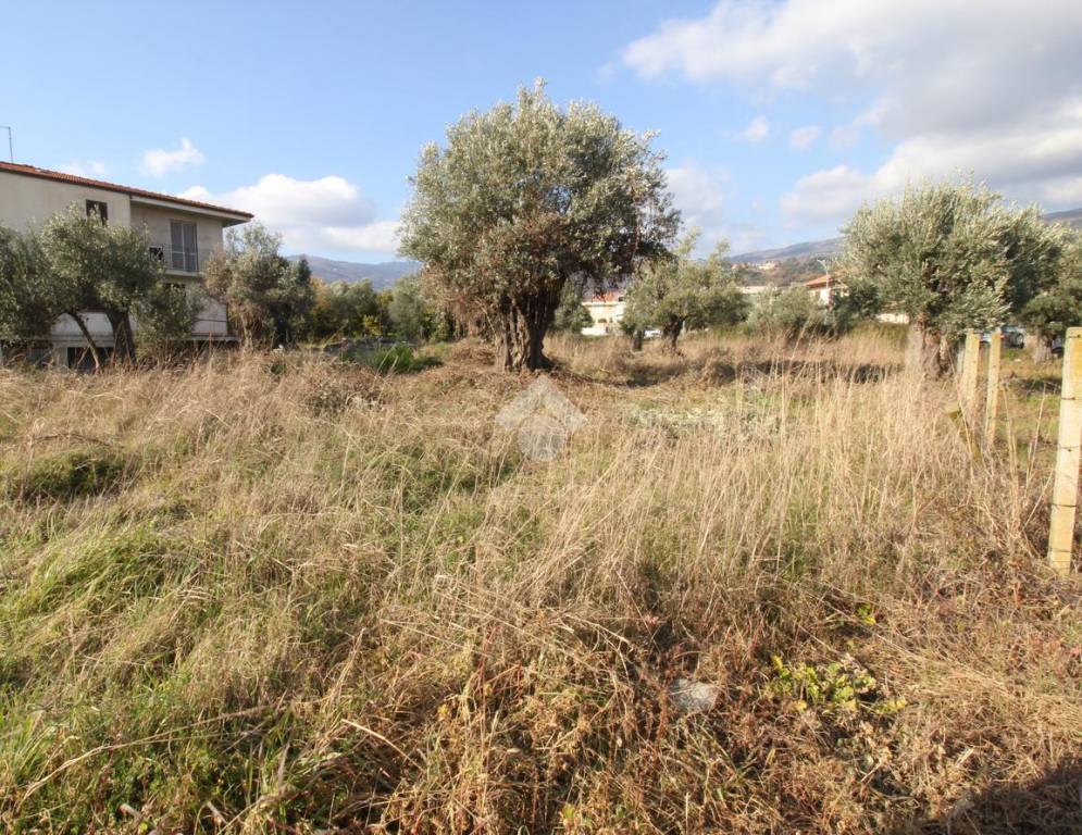 immagine annuncio 6 di 8