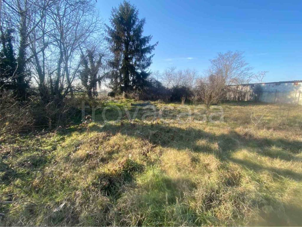 immagine annuncio 1 di 2