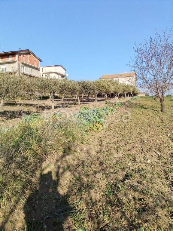 Terreno Agricolo in vendita ad Aragona via Scalo Caldare