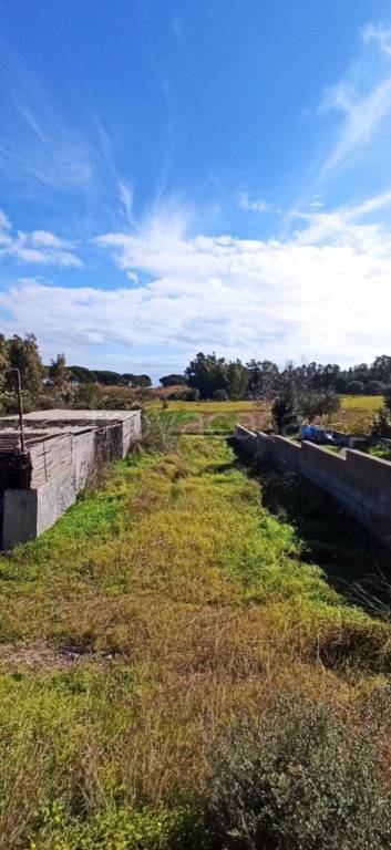 immagine annuncio 3 di 6