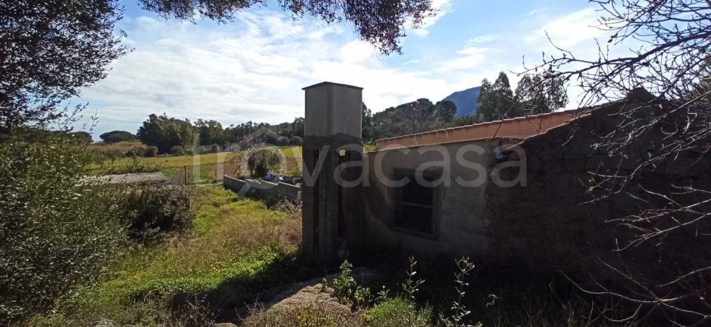 immagine annuncio 4 di 6