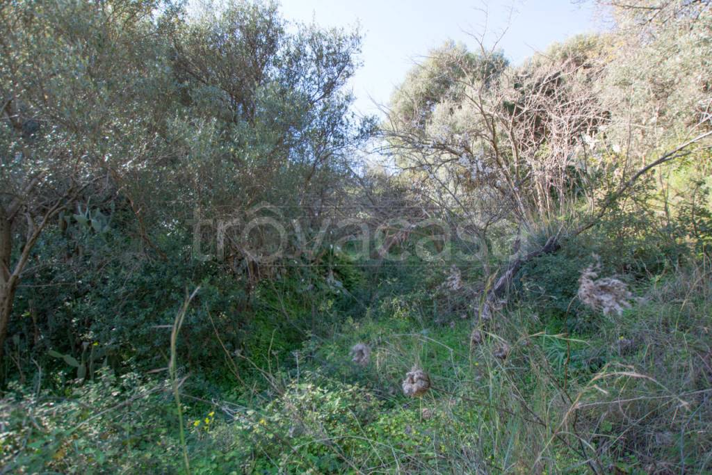 Terreno Agricolo in vendita a Messina santa margherita, messina