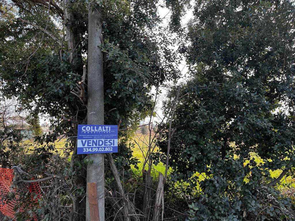 immagine annuncio 4 di 12