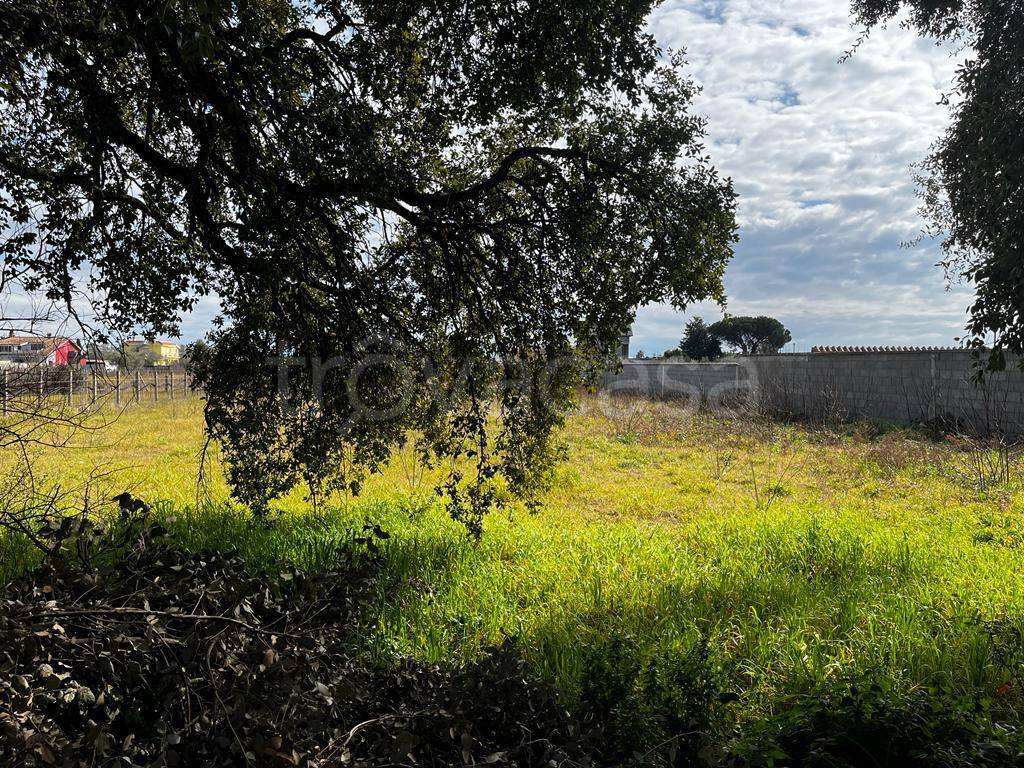 immagine annuncio 10 di 12