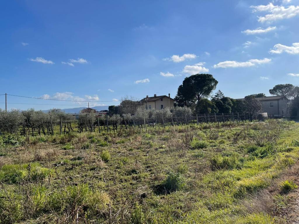 Terreno Agricolo in vendita a Perugia strada Romano di Sopra
