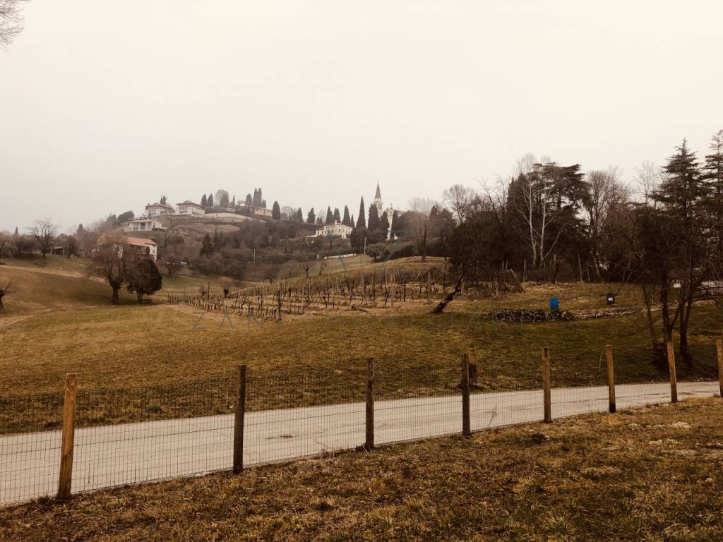 immagine annuncio 9 di 14