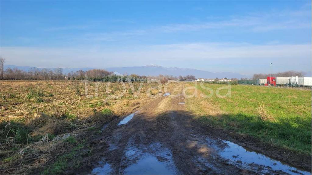 Terreno Agricolo in vendita a Castelfranco Veneto via Circonvallazione Ovest , 60