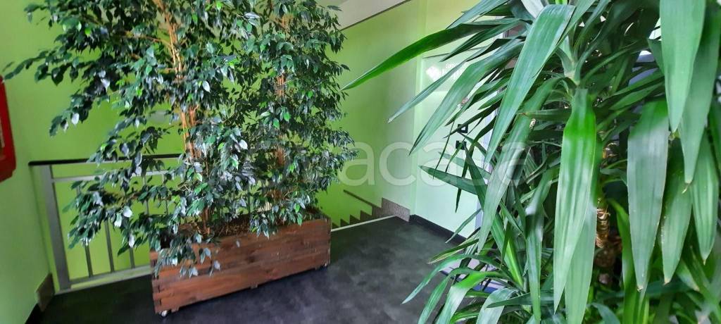 immagine annuncio 10 di 12