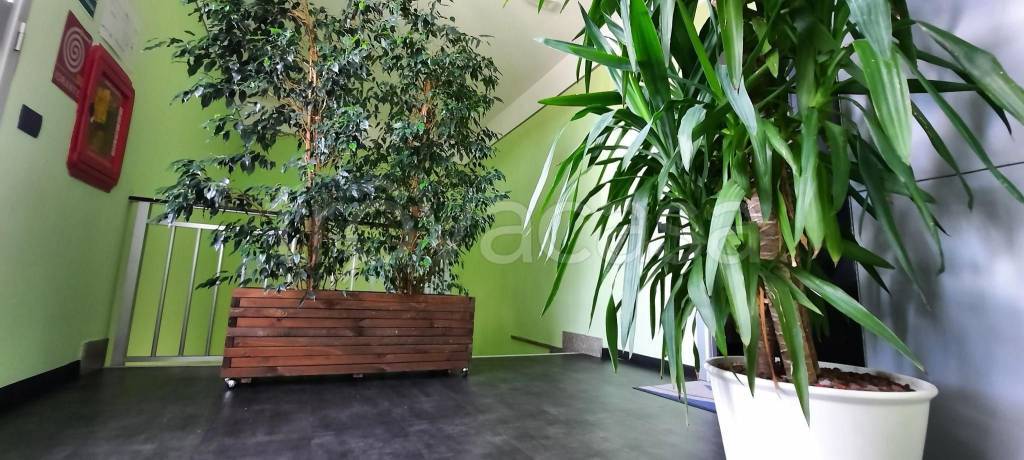 immagine annuncio 11 di 12