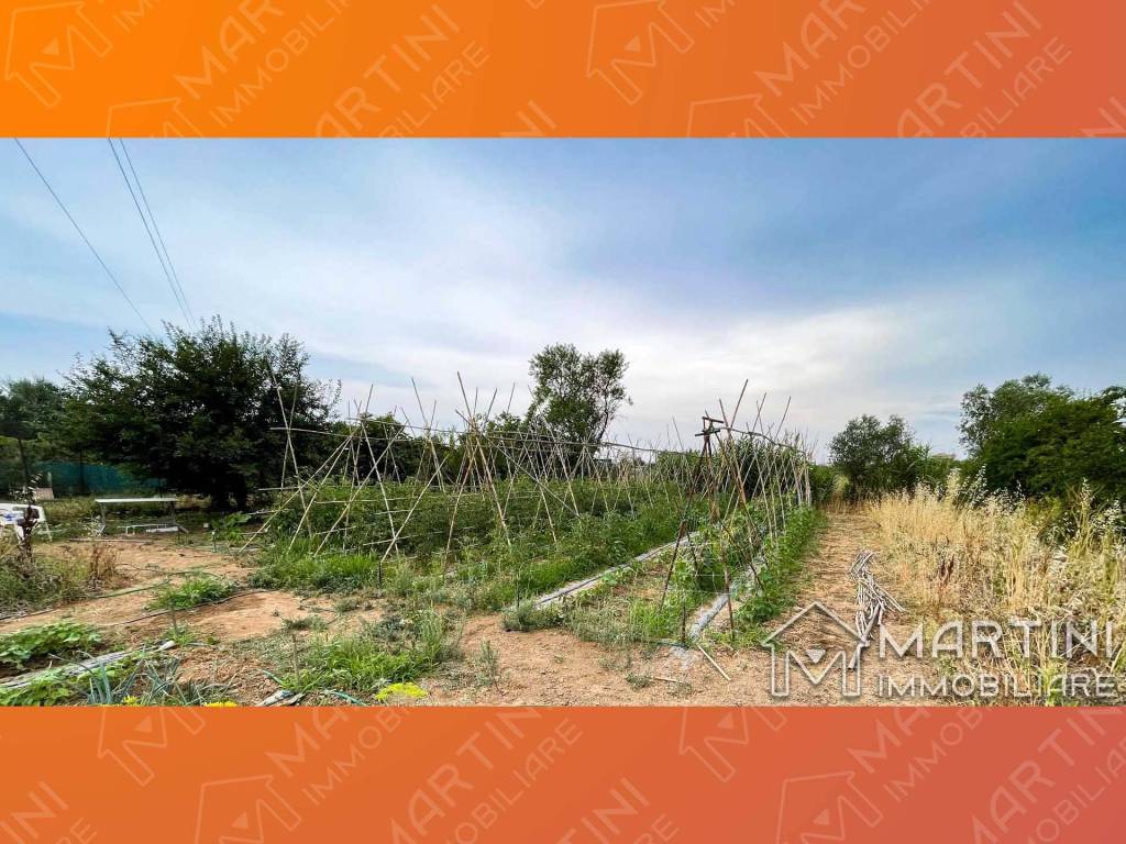 immagine annuncio 1 di 8