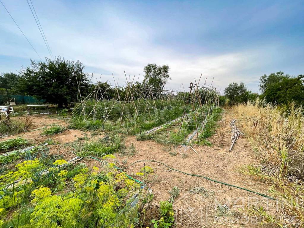 immagine annuncio 3 di 8