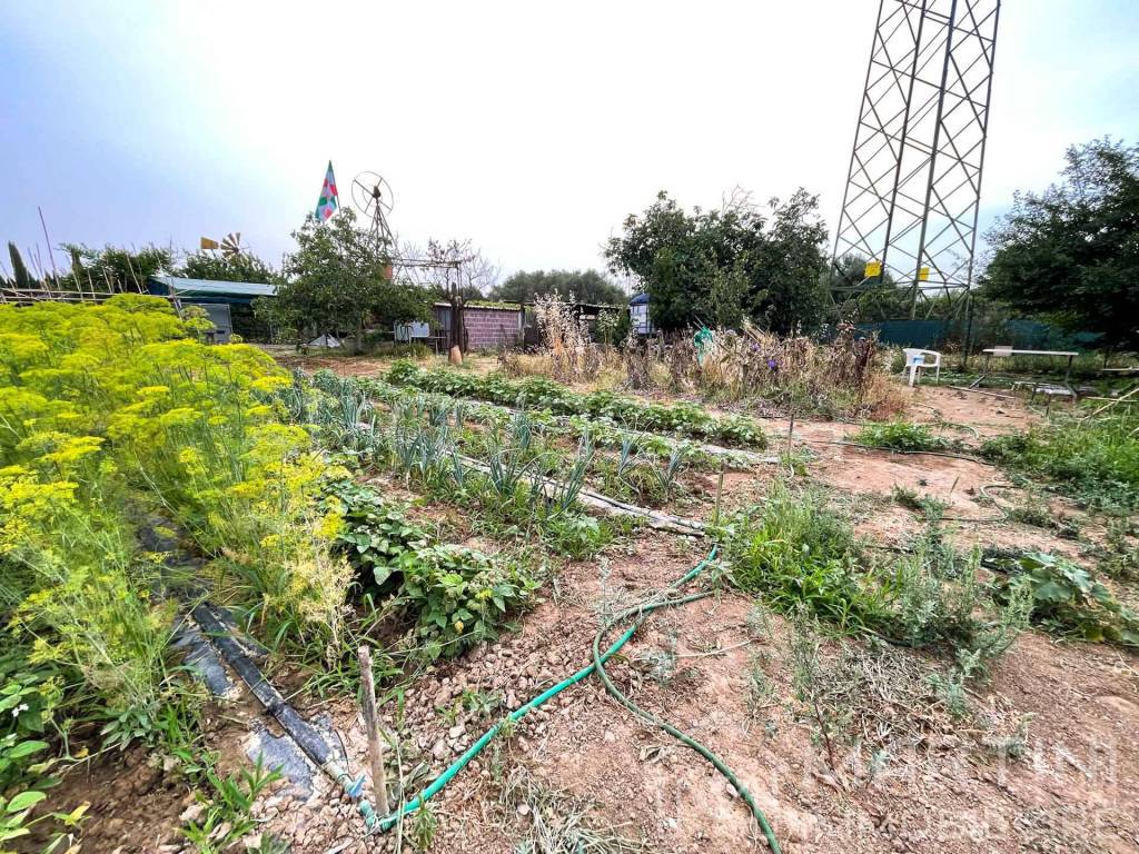 immagine annuncio 5 di 8