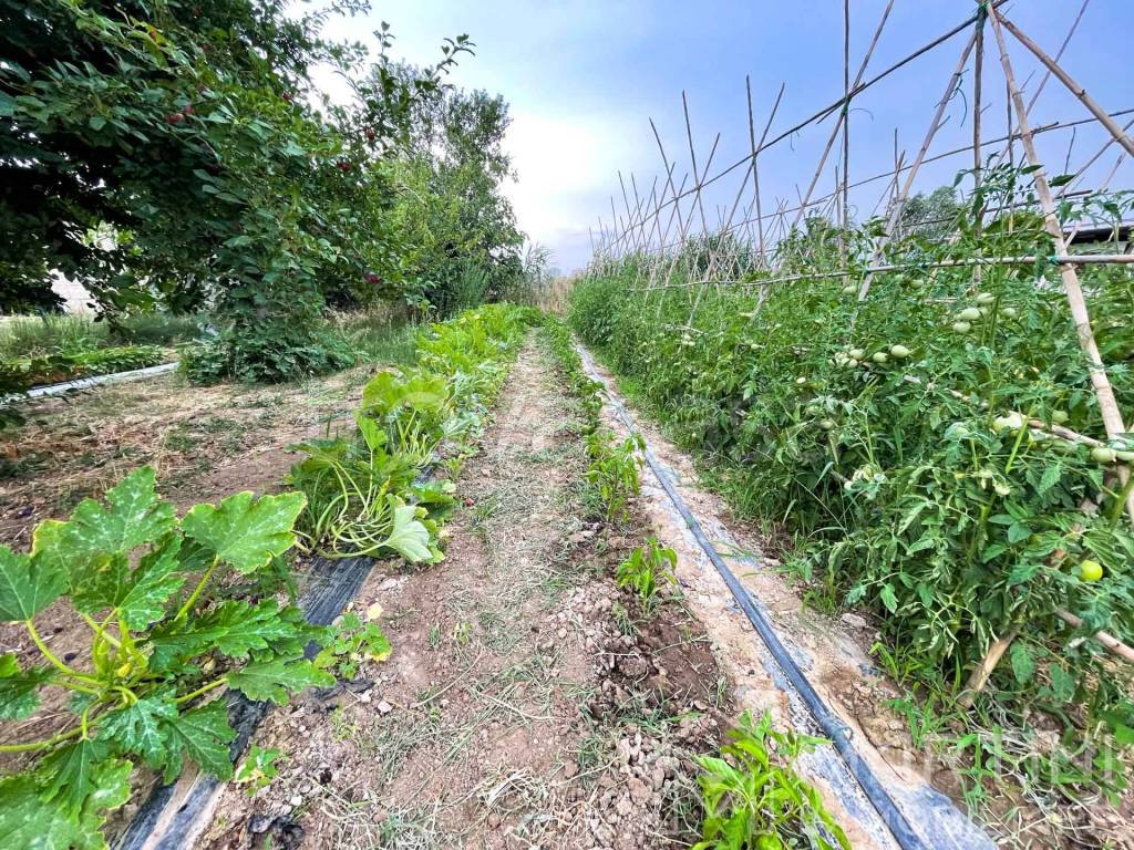 immagine annuncio 4 di 8