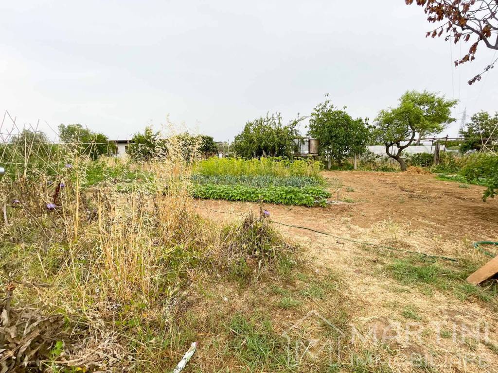 immagine annuncio 6 di 8