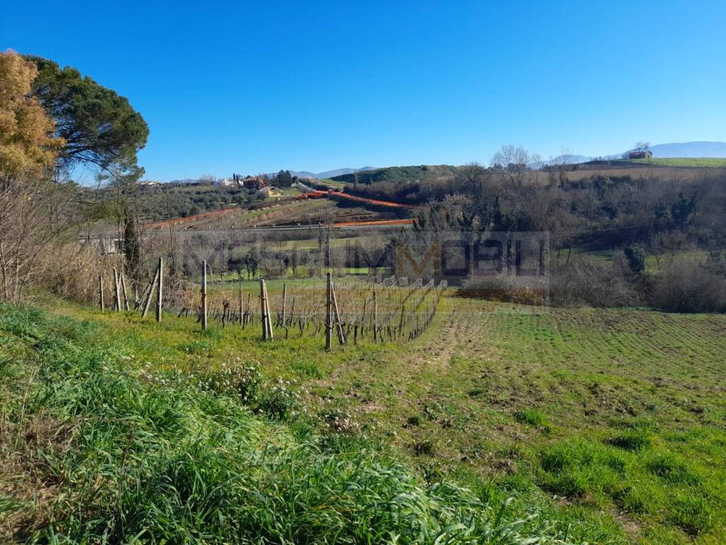 Terreno Agricolo in vendita a Montopoli di Sabina via Ternana