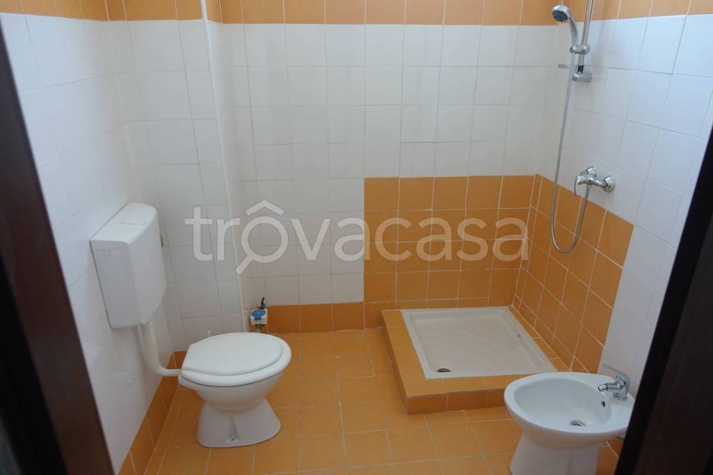 immagine annuncio 10 di 14